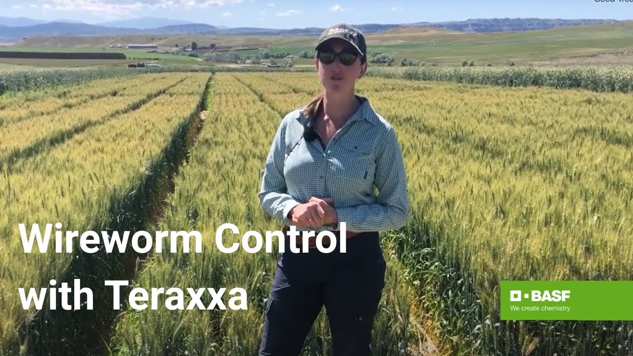 Reddy Anna ID: Unlocking Identity, Access, and Community Benefits in the Reddy Ecosystem